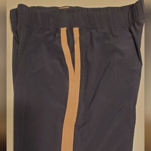 J Jill Fit Active pants